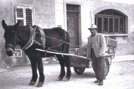 Steiner Gustav - Transport