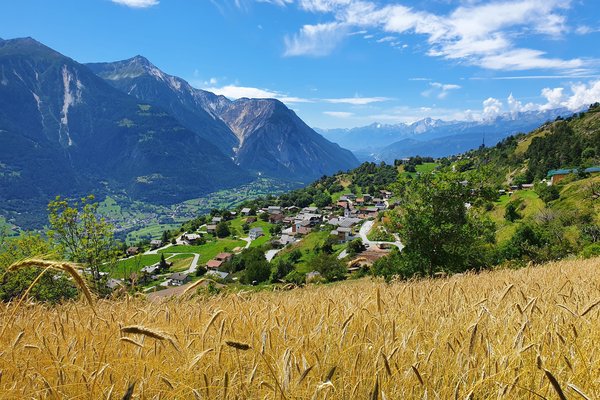 Erschmatt Vielfalt und Kultur auf der Sonnenseite